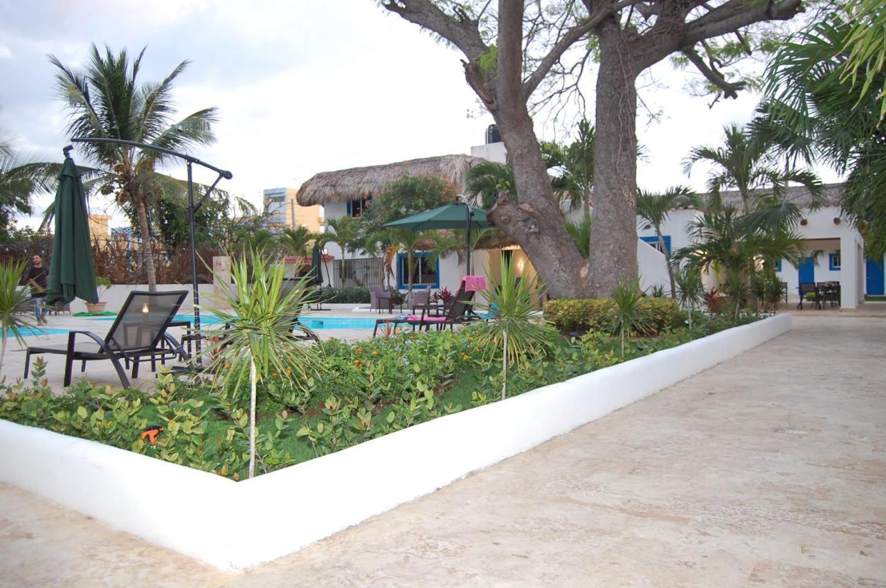 Nuovo Hotel Playa Catalina La Romana Exteriér fotografie