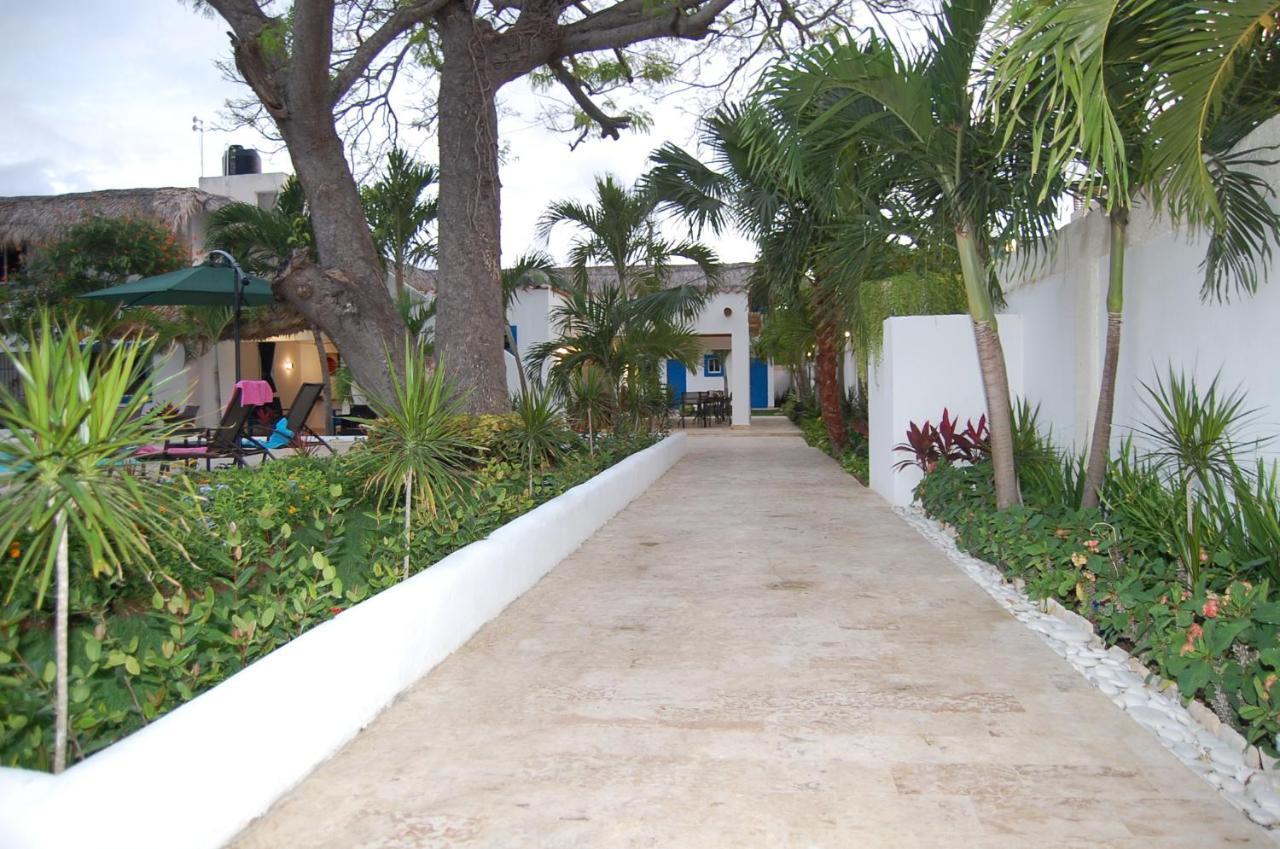 Nuovo Hotel Playa Catalina La Romana Exteriér fotografie
